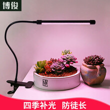 植物灯 价格 图片 品牌 怎么样 京东商城