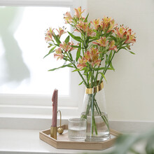 FlowerPlus花加优选百合多头玫瑰六出花云南直采水养鲜花桌面装饰速递 优选六出花10枝，颜色随机