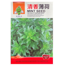元井汇蔬菜种子阳台四季盆栽农家春季草莓黄瓜西瓜辣椒葱生菜香菜种籽孑 薄荷