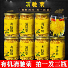 有机青清驰菊菊花茶河南省开封特级青池菊茶青弛菊一朵一杯30g