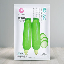 寿禾 西葫芦种子秧苗种苗寿光蔬菜种孑菜瓜小瓜翠宝菜籽翠绿 高产春夏季播种阳台庭院盆栽苗种苗种苗种籽 【耐热耐湿】大禹夏之韵西葫芦种子10g