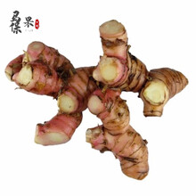 南姜 潮汕新鲜1/2/5/10斤 野山姜 高良姜 新鲜蔬菜 2斤装