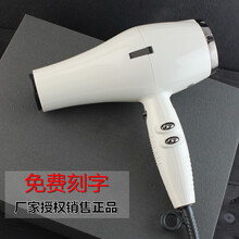 JRL吹风机新款3600吹卷造型电吹风高温静音轻量发廊风筒 【金】黑色 三插转换头