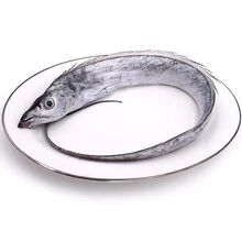 海鲜鱼无冰带鱼 特大带鱼批发整条小眼带鱼 鲜活 5斤装 1斤约2条东海舟山油带鱼