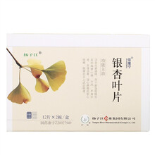 依康宁 银杏叶片 24片/盒 1盒