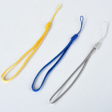 闪迪 精美时尚  设计 高端轻巧 迷你创意 精美挂绳一根（颜色随机）