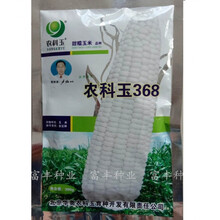 农科玉368京科糯2000白甜糯玉米种籽高产大田春秋季甜糯玉米种子 农科玉368【原装200克】