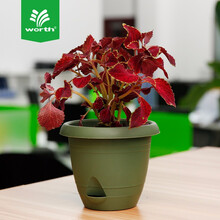 【京东超市】沃施(worth) 0957圆形自浇式花盆 蓄水自浇灌盆托一体花盆花架 家庭园艺工具 墨绿色