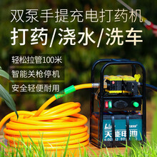 法耐 喷雾器电动农用手提式打药机弥雾机洗车机抽水机高压隔膜泵机器 双泵无电池无充电器版+5米管