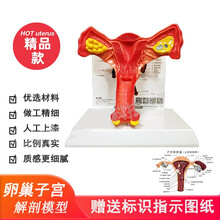 阴道模型 价格 图片 品牌 怎么样 京东商城 阴道模型 价格 图片 品牌 怎么样 京东商城