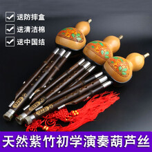 葫芦丝C调降B调 A调初学者专业演奏型成人学生基础儿童入门乐器 防摔A调（全套赠品+皮盒+中国结）