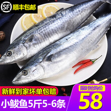 顺丰速运 5斤装新鲜大鲅鱼海产品冷冻海鲜水产鲜活速冻马鲛鱼海捕特产鱼类大海鱼