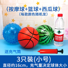 皮球 4-12岁充气球儿童玩具拍拍球西瓜球幼儿园弹力小篮球按摩球球类 3个小号(篮球+按摩球+西瓜球)+气筒1个