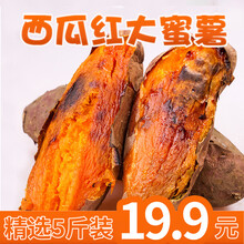 壹农壹果 西瓜红薯  现挖蜜薯 新鲜农家自种红薯 农家香甜地瓜 5斤装（净重4.5斤）