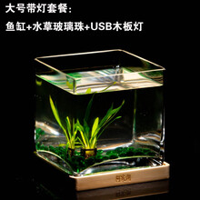 洛鲁小夜灯方形玻璃鱼缸客厅小型办公桌面创意生态斗鱼缸迷你水族箱 大号带灯+造景