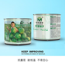 中科茂华 瓜果蔬菜种子 懒汉至尊宝 抗重茬墨绿皮西瓜种子 龙卷风类型耐低温 不起棱不空心不厚皮超甜 懒汉至尊宝 西瓜种子10克/袋