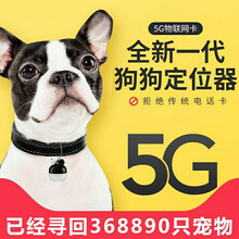 智能宠物gps定位器狗狗定位项圈追踪仪小型订位防丢猫咪追踪神器YJ 猫咪金铃铛+项圈