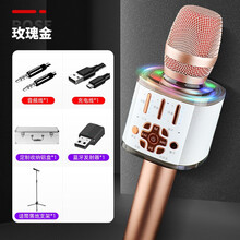 先科K01话筒音响一体麦克风全民k歌手机麦克风魔音变声无线蓝牙唱歌神器家用电视全名专用儿童卡拉OK 双喇叭顶配版
