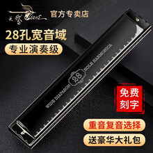 德国进口音簧天鹅28孔口琴高级成人专业复音重音演奏级口琴初学入门乐器 黑色复音【带音阶】+豪华大礼包