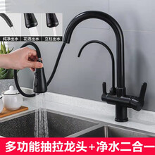 柏温 抽拉式厨房水龙头带直饮水净水器全铜芯冷热洗菜盆水槽龙头可伸缩三合一