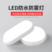 LED壁灯厨房卫生间户外车库仓库墙壁阳台吸顶灯防水防潮防蚊虫 15W小椭圆