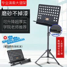京炫（JINGXUAN)乐谱架琴便携式家用吉他架子鼓小提琴古筝升降折叠曲谱台书架 【磨砂】双层【卡槽可放笔】谱台