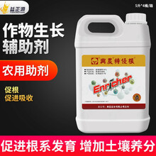 戈击 特优根 腐植酸水溶肥草莓蔬菜葡萄促根发育抗重茬降酸抗逆土壤改良促生长通用冲施农用液态肥农资店 5L