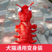 允爱狗狗衣服秋冬装宠物潮牌服饰中小型犬泰迪比熊博美红色龙虾猫狗变身装 10号/S建议4-6斤