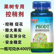 果树控稍剂矮壮素果树促控剂控新梢花芽膨果着色柑橘葡萄苹果梨 高效果树促控剂500ml