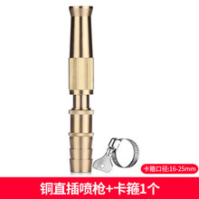高压直喷水枪多功能家用浇花园林铜花洒洗车冲洗器可调节水管喷头 铜喷枪+卡箍1个