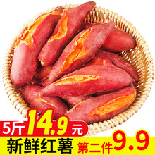 【平价菜场】红薯地瓜糖心番薯蜜薯 新鲜蔬菜番薯 2斤小果