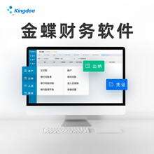 金蝶软件云财务软件会计记账做账代账软件金蝶kis标准版迷你版小企业财务系统管理erp软件 20账套 2用户1年