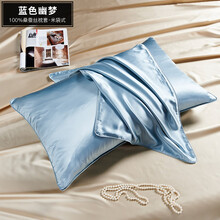 百年六合19姆米双面100%真丝枕套100桑蚕丝枕套单人提花丝绸枕头套48x74尺寸可订制单只装 蓝色幽梦(米袋式) 48*74cm