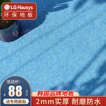 LG Hausys韩国品牌新款LG弹性卷材PVC地板革家用商用办公水泥地板胶 环保防水耐磨 LG-506 家用