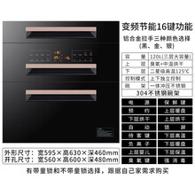日本樱花消毒柜家用嵌入式120L厨房橱柜三层镶嵌柜式消毒碗柜小型OL 三层16键S6-1金色拉手+童锁变频 #304新