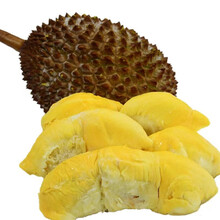 泰国进口 诺卡吉冷冻整颗榴莲1个装 约1.5-2.0kg 冷冻水果