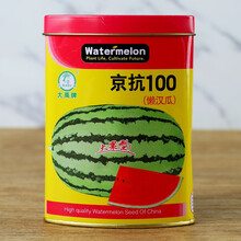 寿禾 麒麟西瓜种子春季阳台早熟海南8424南方沙糖甜王水果瓜种孑 京抗100西瓜 50克/桶【超甜 约900粒】