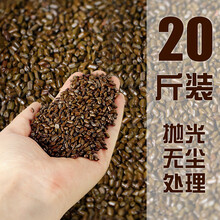 儿童决明子玩具沙池套装宝宝室内家用大颗粒玩沙子挖沙池沙滩沙漏 20斤决明子【已抛光筛选儿童玩沙专用】