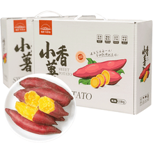 【顺丰】精选中号小香薯5斤礼盒装 新鲜红薯正宗番薯地瓜 【精选小香薯礼盒装】净重5斤