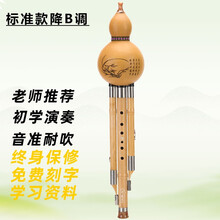 竹丝乐葫芦丝C调小学生降B调成人GF演奏专业型楠竹乐器初学者 降B调 楠竹款