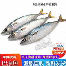 鳀鱼】价格_图片_品牌_怎么样-京东商城