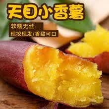 （现挖现发） 天目山板栗红薯 新鲜地瓜小蜜薯农家沙地香甜番薯 5000g