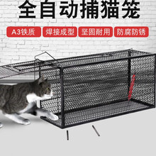 【电子发票】抓猫笼自动捕猫笼抓猫捉猫神器诱捕笼黄鼠狼笼子逮猫超市商场驱赶流浪猫笼捕鼠笼支持企业采购 大号：可抓1-15斤猫笼