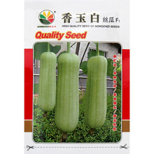 新糯香白皮丝瓜子种子种籽新品种南方早熟高产肉丝瓜四季菜蔬菜孑 香玉白丝瓜10g/袋【细嫩无纤维】