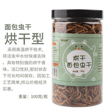 小囧家 蜜袋鼯仓鼠粮食面包虫小鱼干刺猬松鼠蜜袋鼬花枝鼠大麦虫干蚕蛹干虾干小宠罐装食物 烘干面包虫 100克