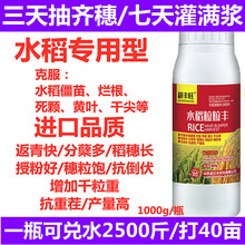 水稻叶面肥增产硅肥返青肥增产剂育苗灌浆肥水稻粒粒丰膨大籽粒 水稻粒粒丰500ml（送量杯1套）
