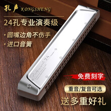 进口音簧24孔口琴男士高级专业演奏级初学者入门学生复音重音C调 B调