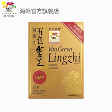 维特健灵 灵芝 破壁孢子粉胶囊五色灵芝中医滋补增强免疫力10粒/瓶