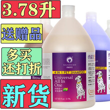 雪貂留香3.78升大桶宠物沐浴露 马犬 牛头梗 拉布拉多 大狗 洗毛精 除体臭 毛发顺滑 沐浴露 强力去污
