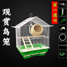 鹦鹉鸟笼 虎皮牡丹别墅笼子文鸟珍珠小号铁艺金属屋顶观赏小鸟笼 屋顶102鸟笼套餐二草窝+五节云梯
